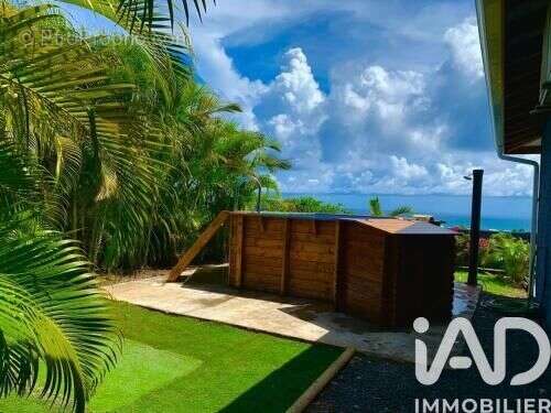 Photo 5 - Appartement à SAINT-FRANCOIS