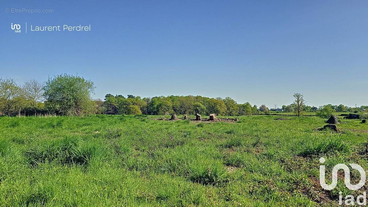 Photo 1 - Terrain à ALLAIRE