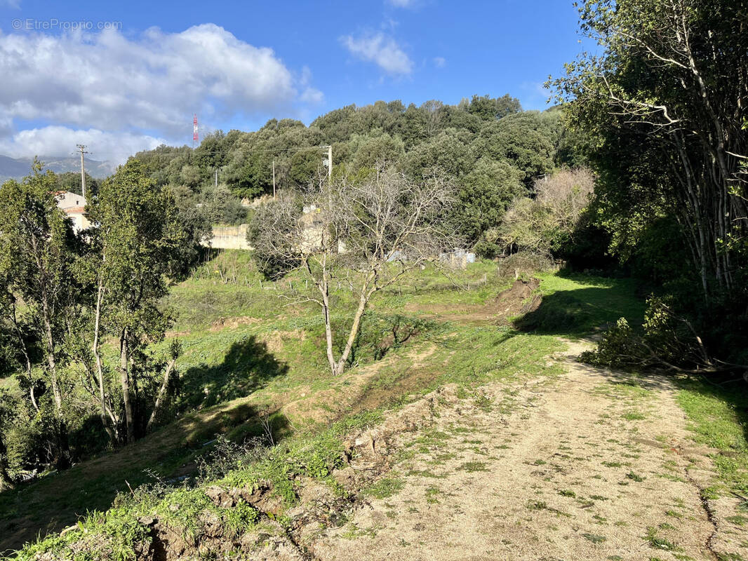 Terrain à ARBELLARA