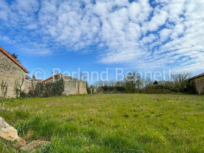 Terrain à CHEF-BOUTONNE