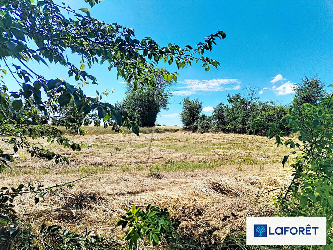 Terrains à bâtir - photo 2