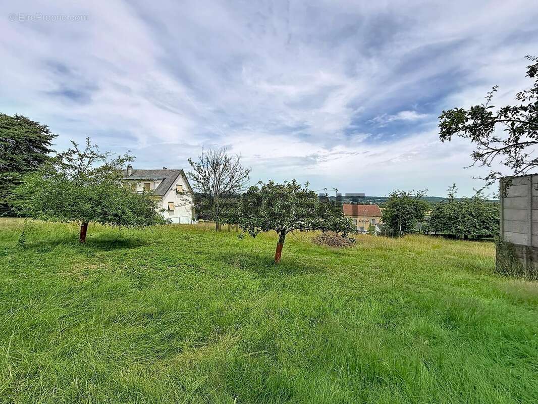 Terrain 2334 m² à Les Ayvelles  - photo 3