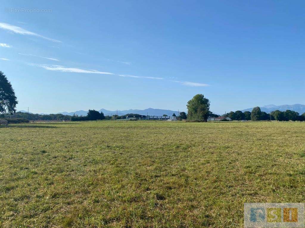 Terrain à LANNEMEZAN