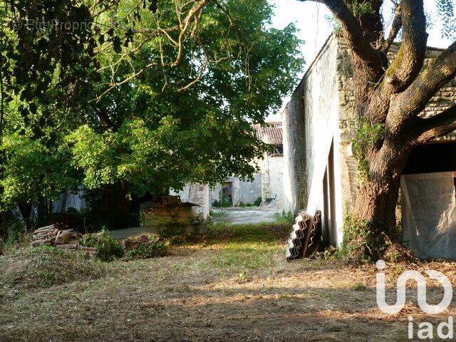 Photo 1 - Maison à AIGREFEUILLE-D&#039;AUNIS