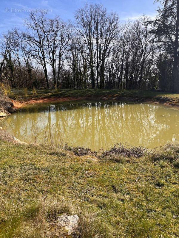Maison à SAINT-CERNIN