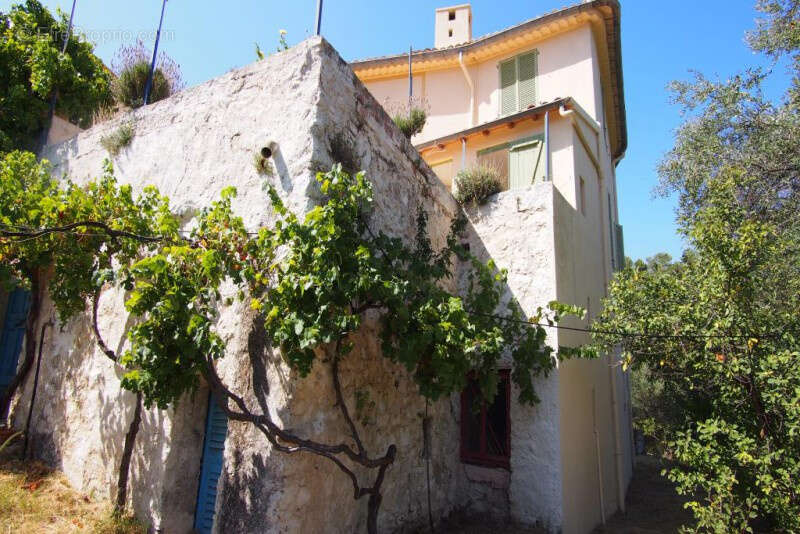 Maison à LA TRINITE