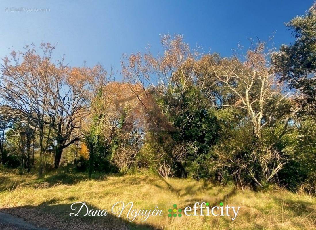 Terrain à MOLIERES-SUR-CEZE