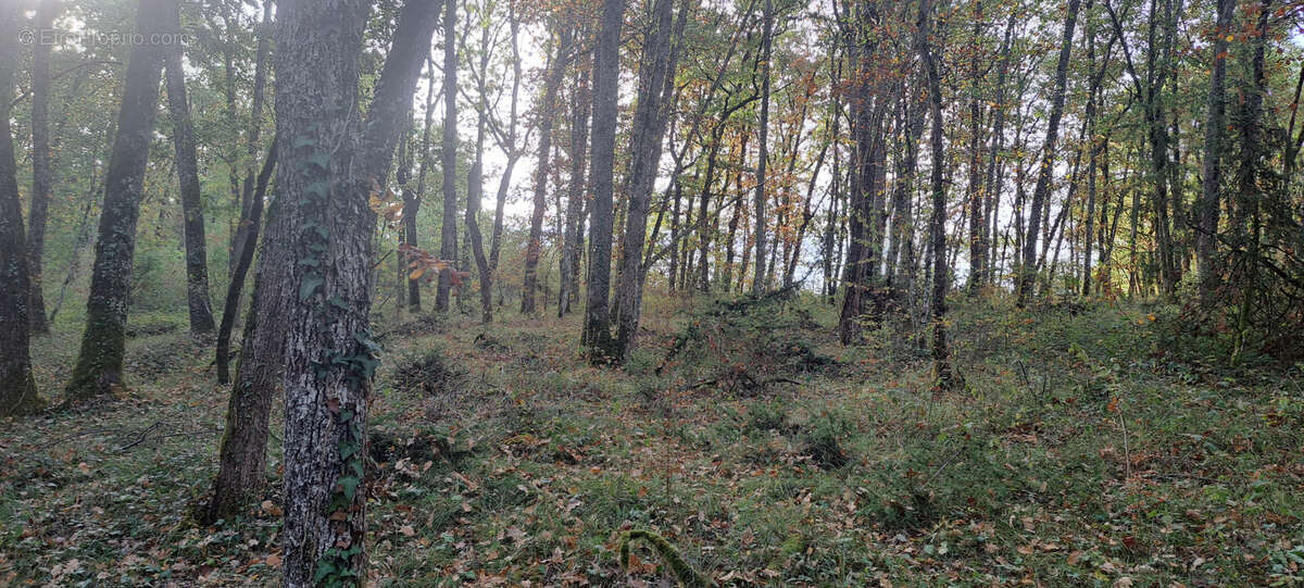 Terrain à SEPTFONDS