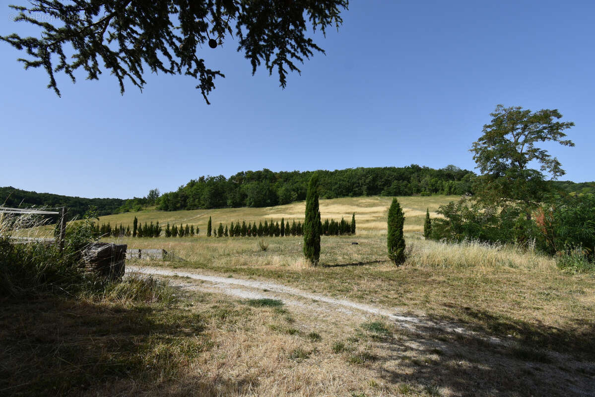 Propriété haut de gamme avec installations équestres sur 18 ha - photo 30