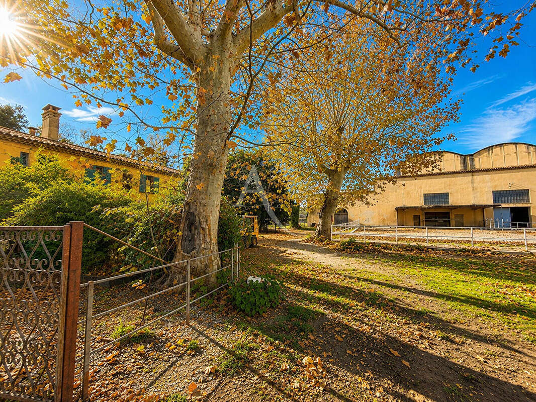 Domaine de Provence (Mas Arles) - photo 4