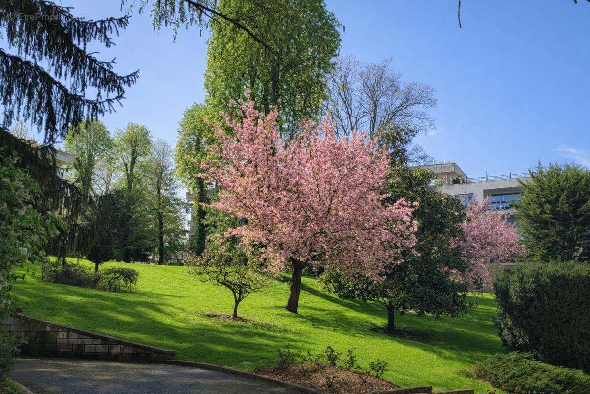 Appartement à VILLE-D'AVRAY