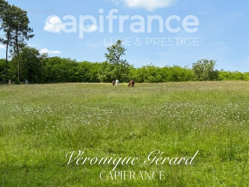 Maison à SALLEBOEUF