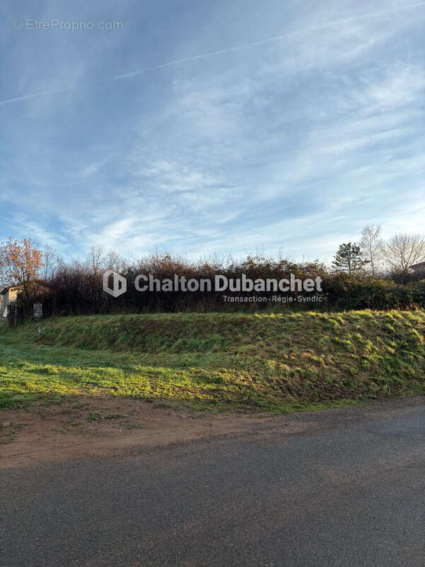 Saint  victor sur rhins - terrain de 1396 m² - photo 5