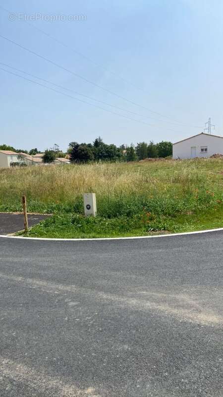 Terrain de 334 m² à ECHIRE - photo 3