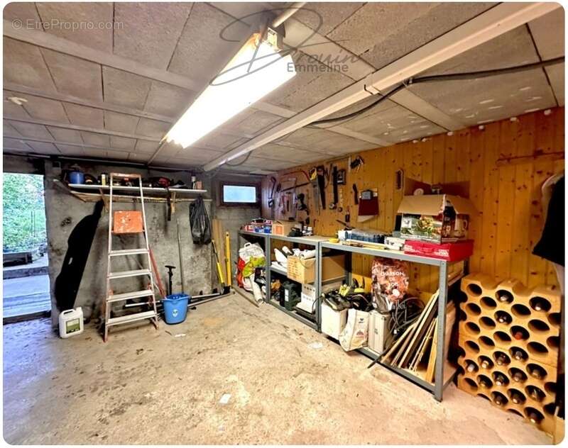 Maison à SAINT-JEOIRE