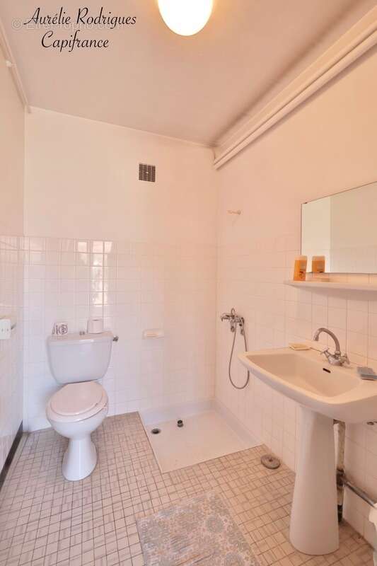 Maison à vendre 6 pièces MANZIAT (01) - photo 17