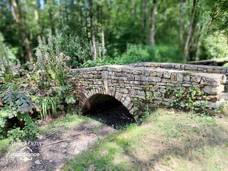 Maison à CELLES-SUR-BELLE