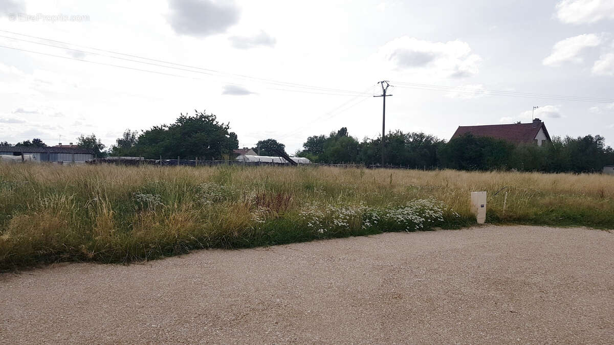 Terrain à L&#039;ABERGEMENT-SAINTE-COLOMBE