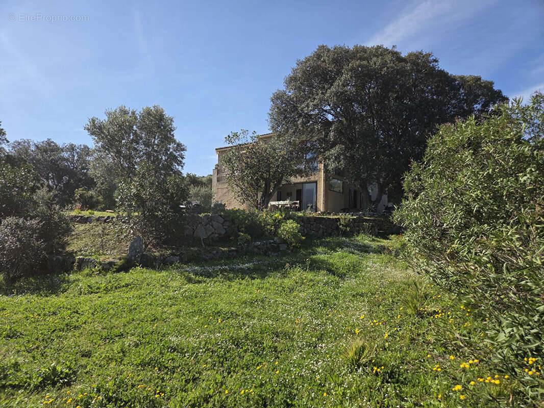 Maison à BELVEDERE-CAMPOMORO