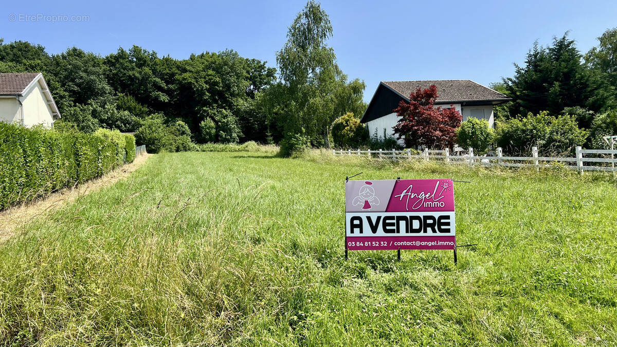 Terrain à ROCHEFORT-SUR-NENON