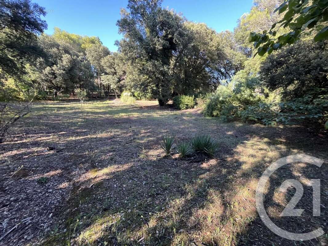 Terrain à ROQUEFORT-LES-PINS