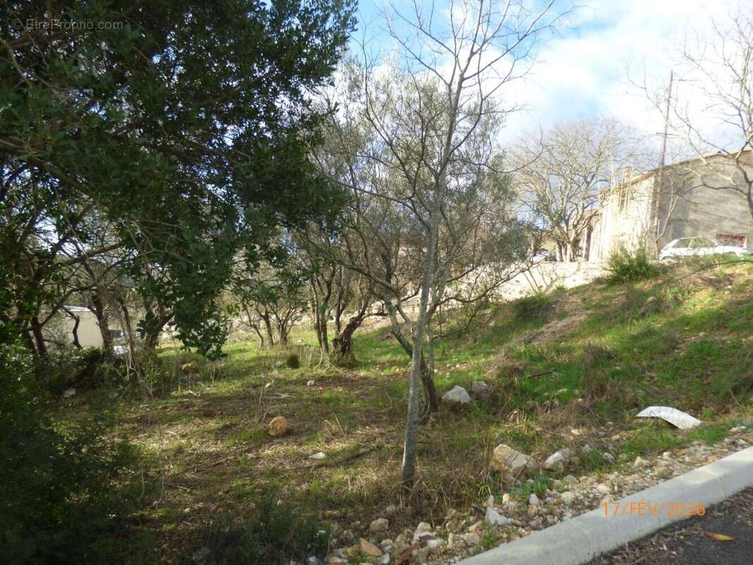 Terrain à VAILHAUQUES