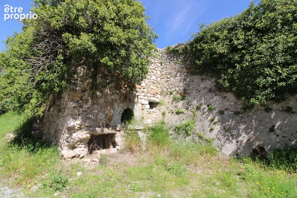 Mas de 2500 m2 sur 26 hectares. - photo 20