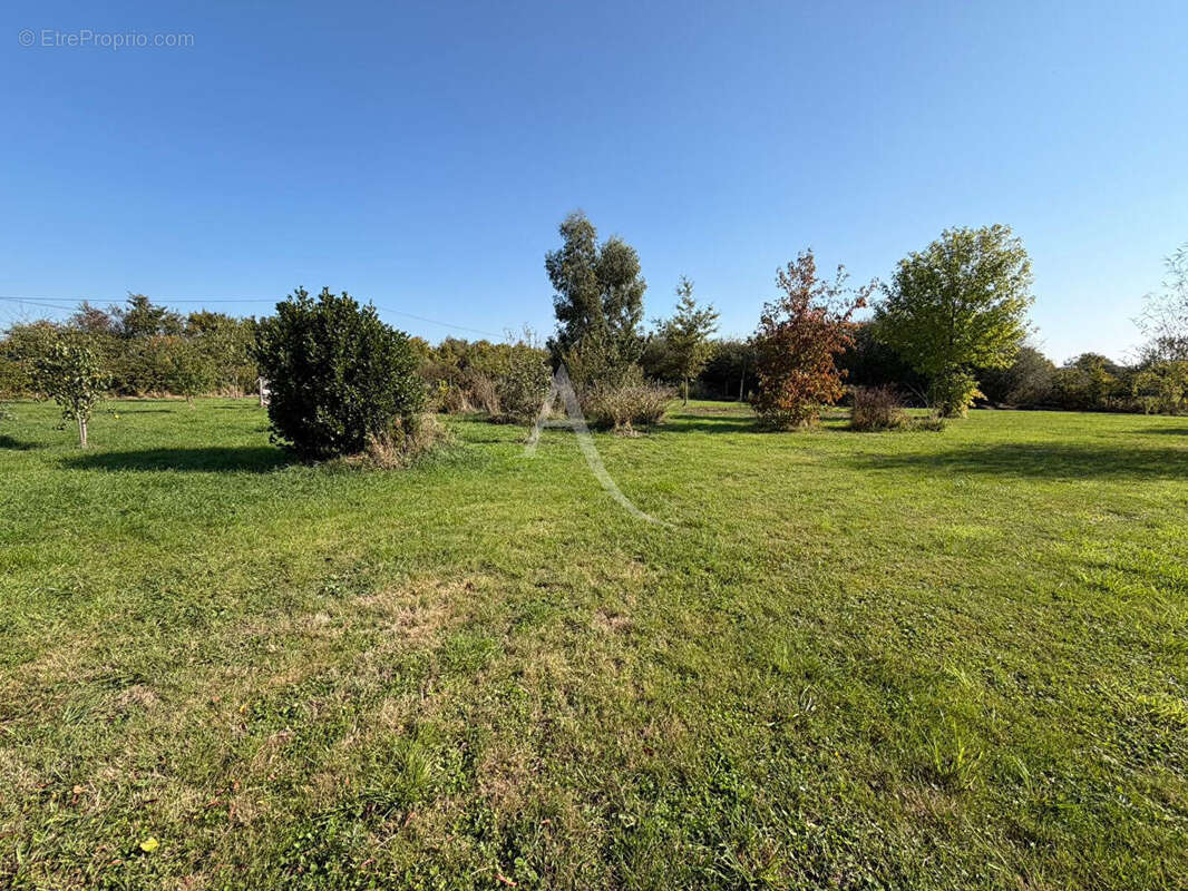 Maison à MOZE-SUR-LOUET