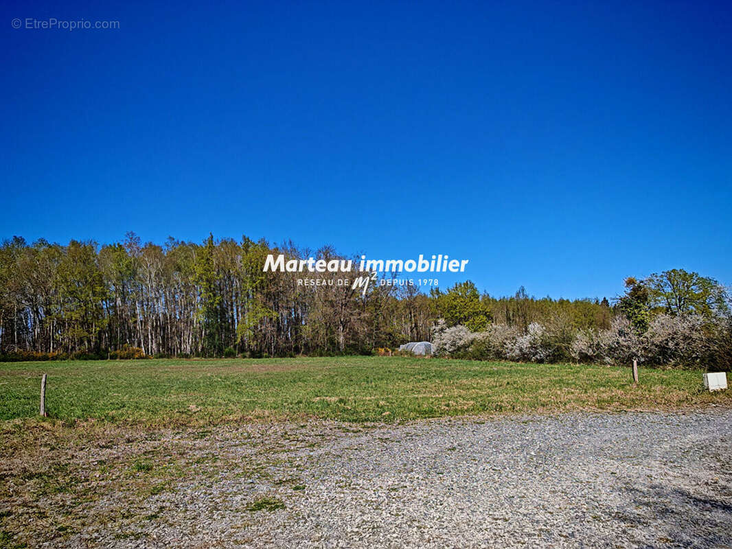 Terrain à LE GRAND-LUCE