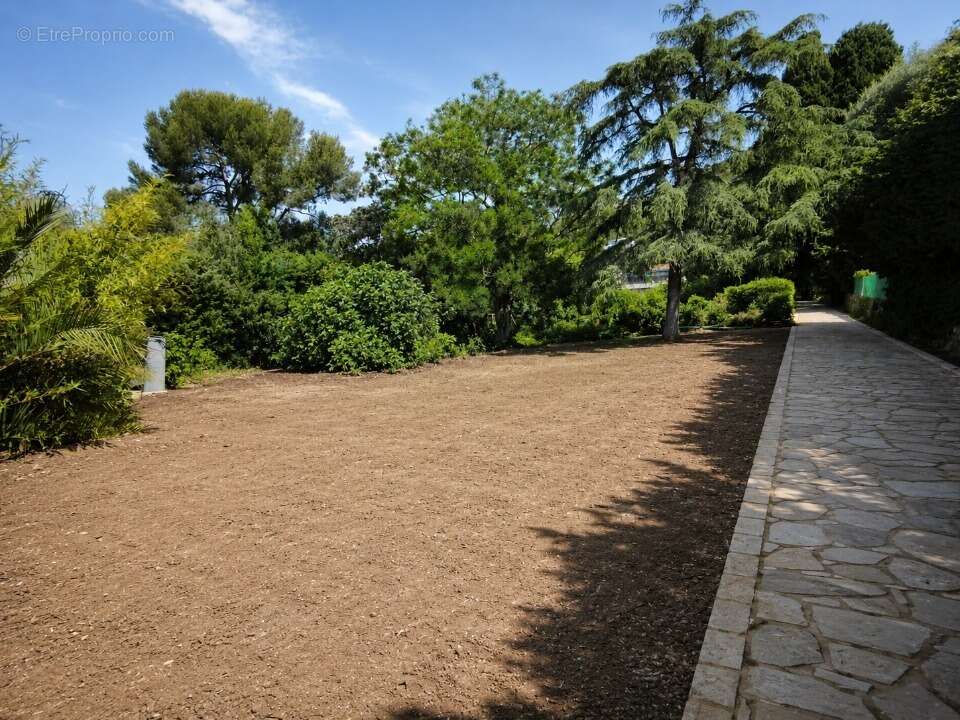 Terrain 653 m² à Toulon  - photo 2