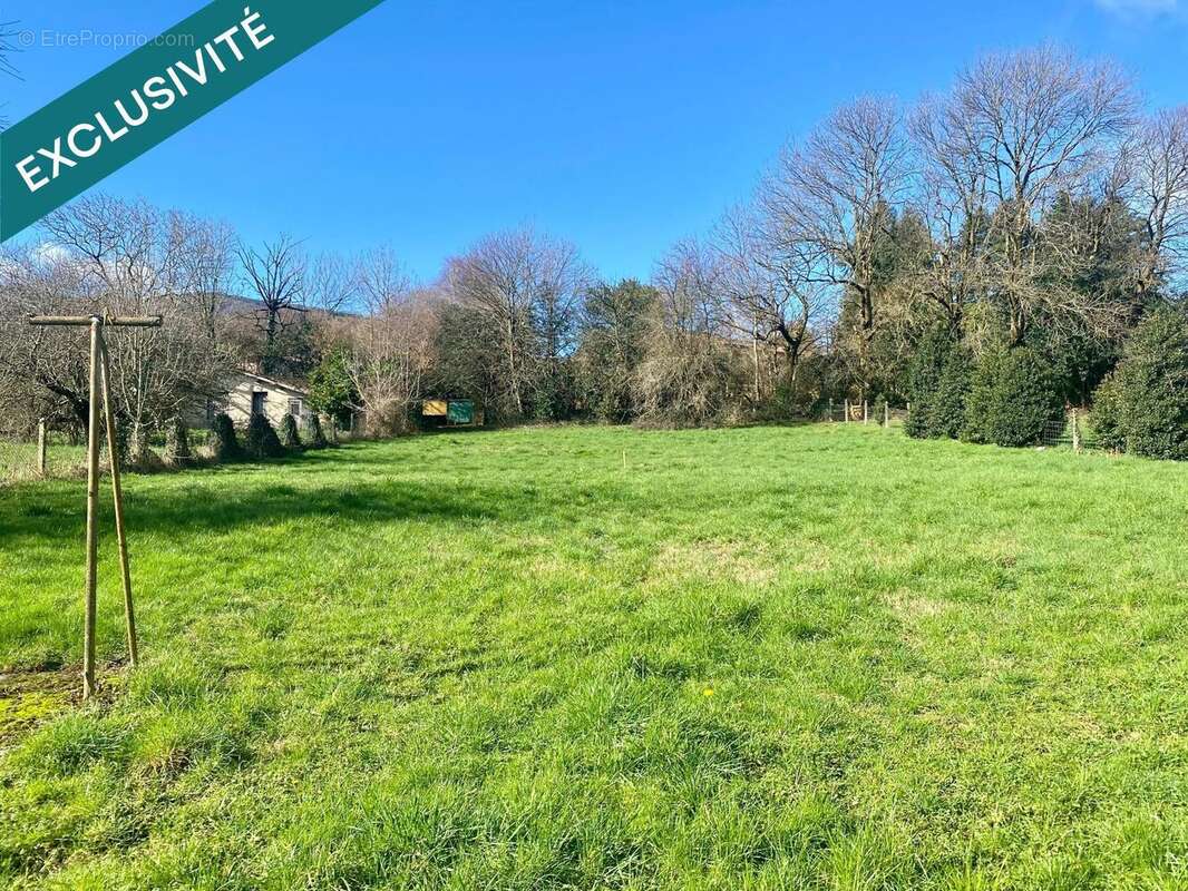 Photo 6 - Terrain à SAINT-AMANS-SOULT