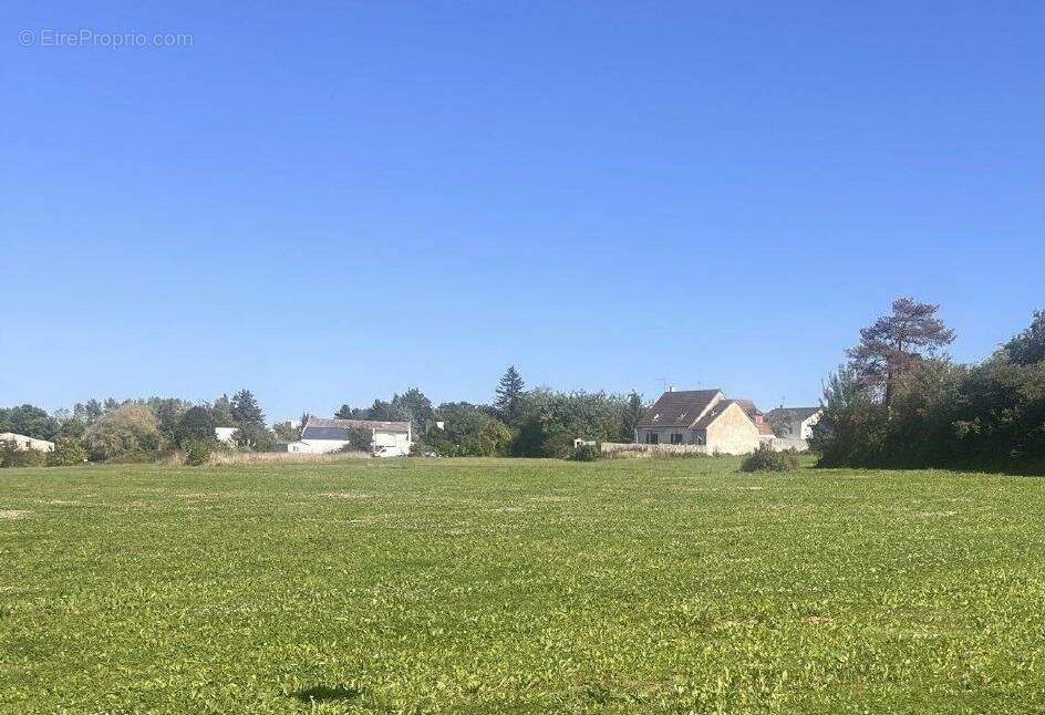Terrain à LE CHATELET-EN-BRIE