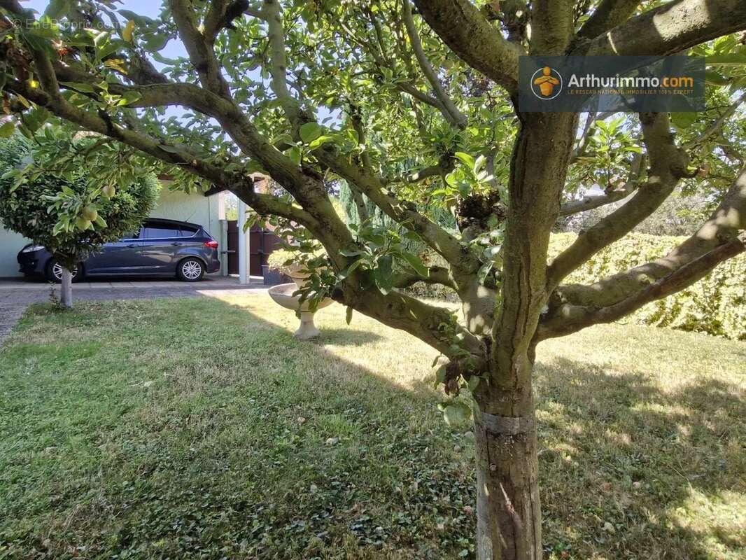 Maison à LAROQUE-D'OLMES