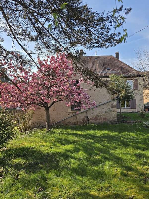 Maison 182 m² à Niederhaslach  - photo 57