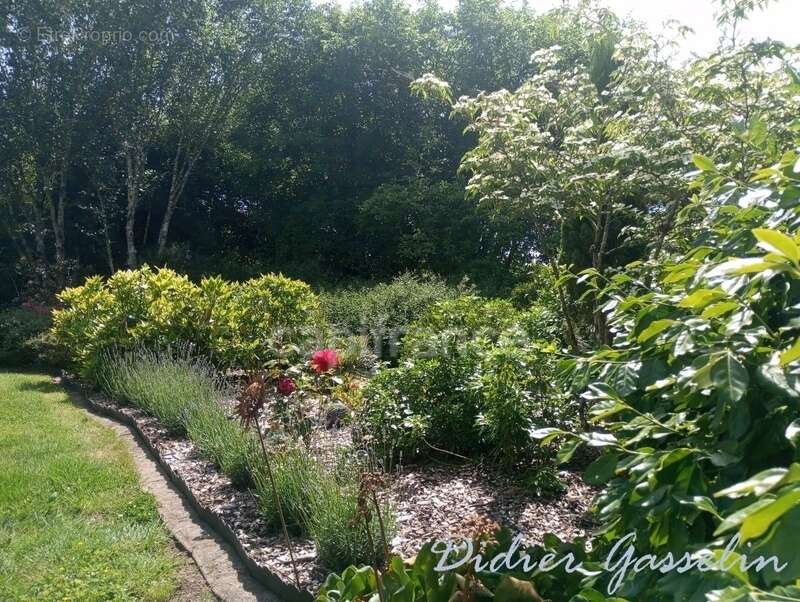 2 Maisons à vendre 10 pièces  (72) - photo 14