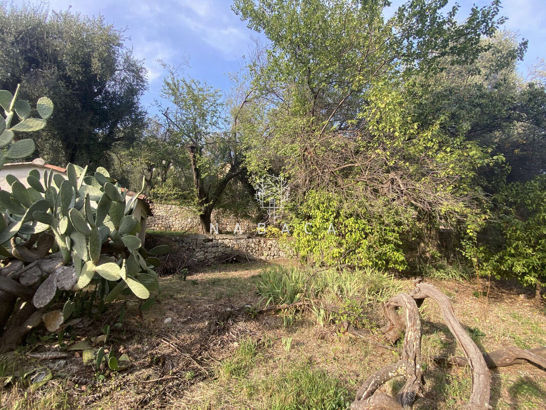 Terrain à LE BAR-SUR-LOUP