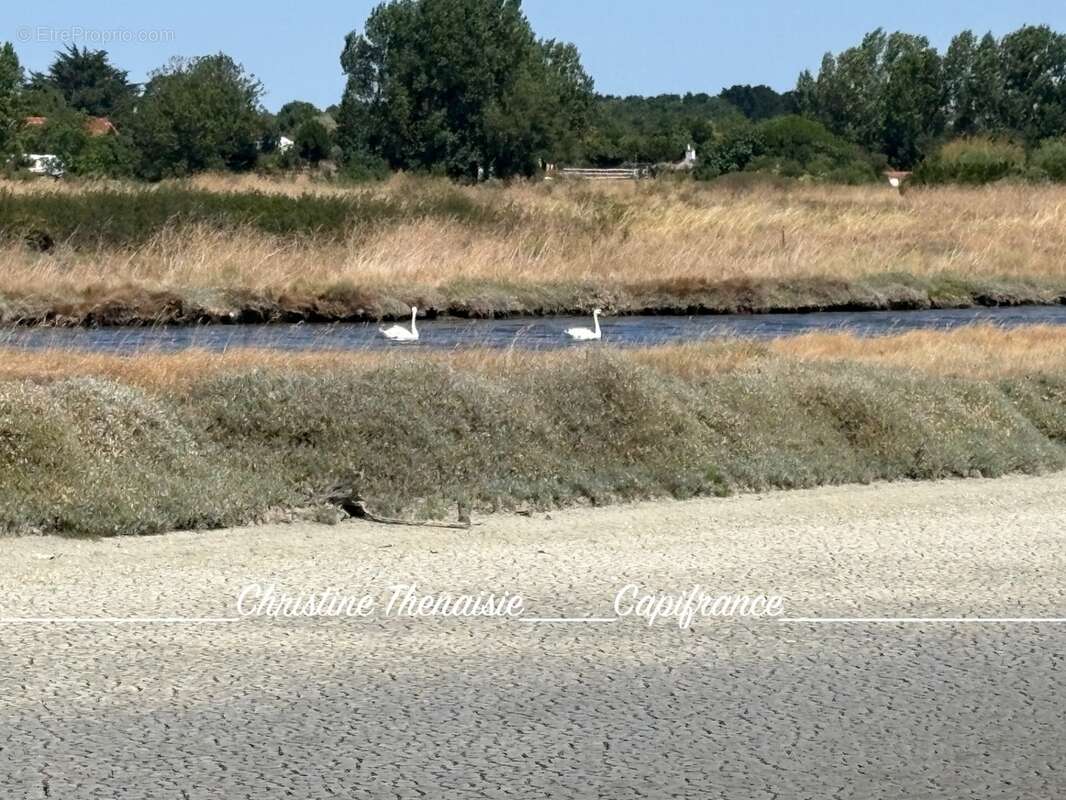 MARAIS avec cabane flottante à vendre Route du Sel à SAINT HILAIRE DE RIEZ (85) - photo 12