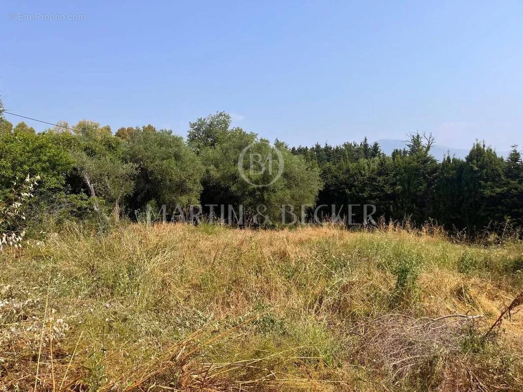 Terrain à VALBONNE
