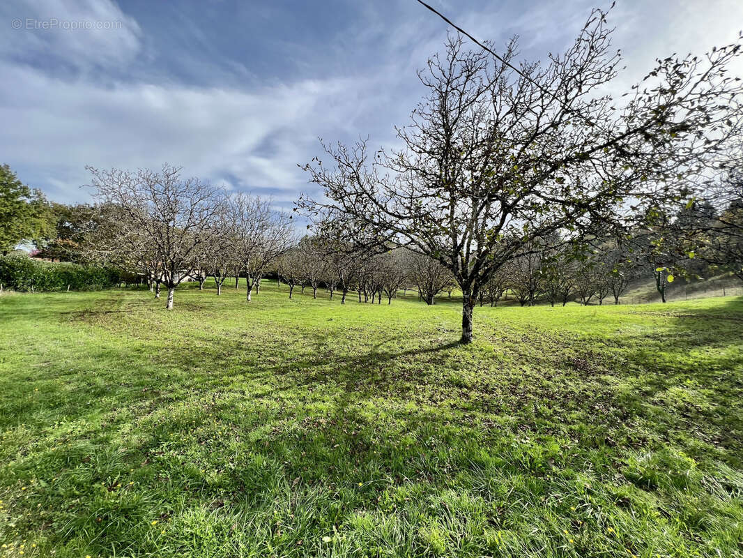 Terrain à TERRASSON-LAVILLEDIEU