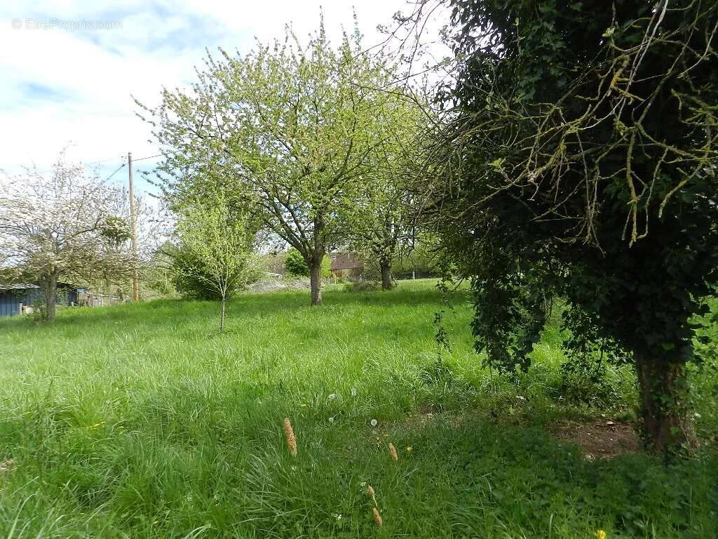 Maison à SAINT-PIERRE-SUR-DIVES