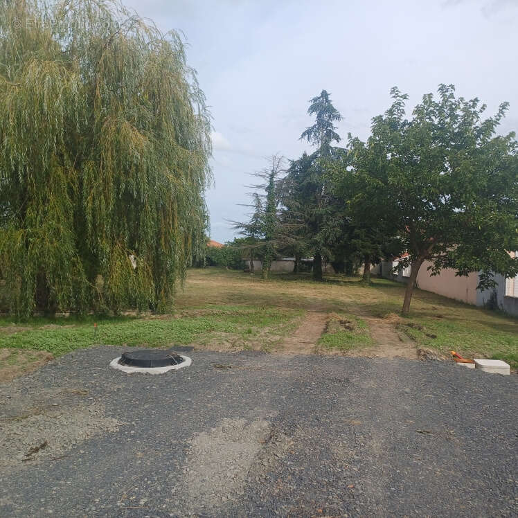 Terrain à SAVIGNEUX