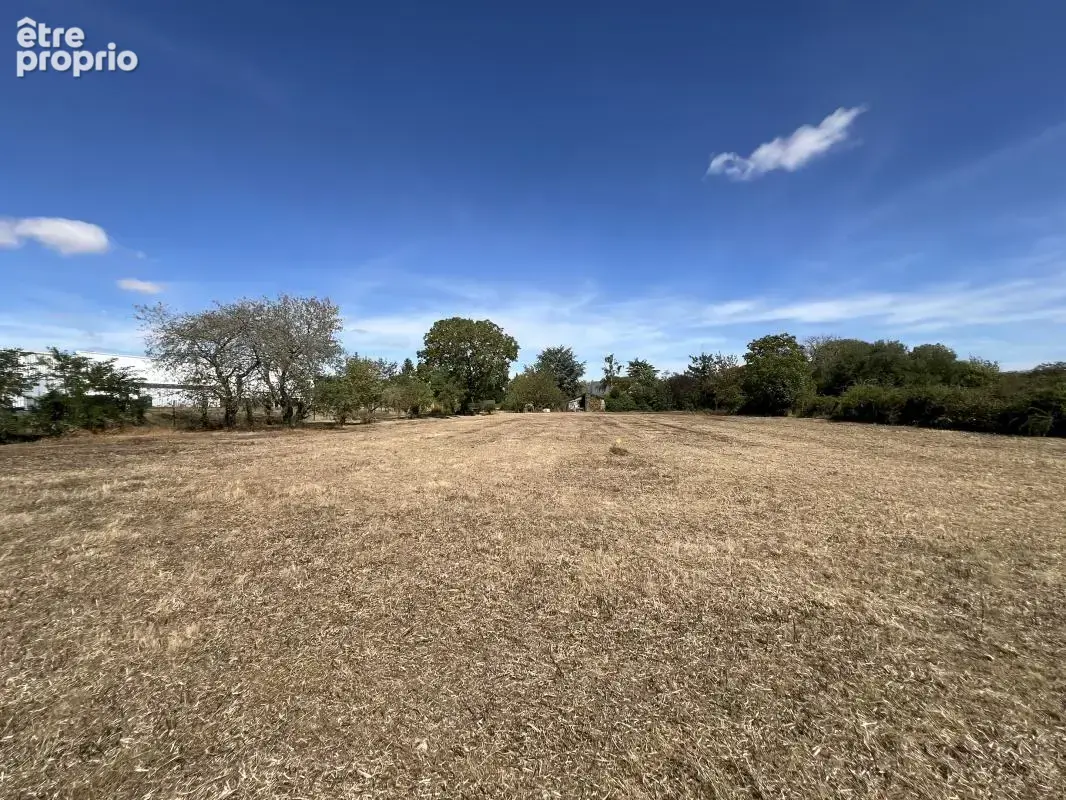  Domaine de 6 600 m² à Patay : Cadre de vie unique et superbe opportunité d'aménagement foncier !  - photo 20