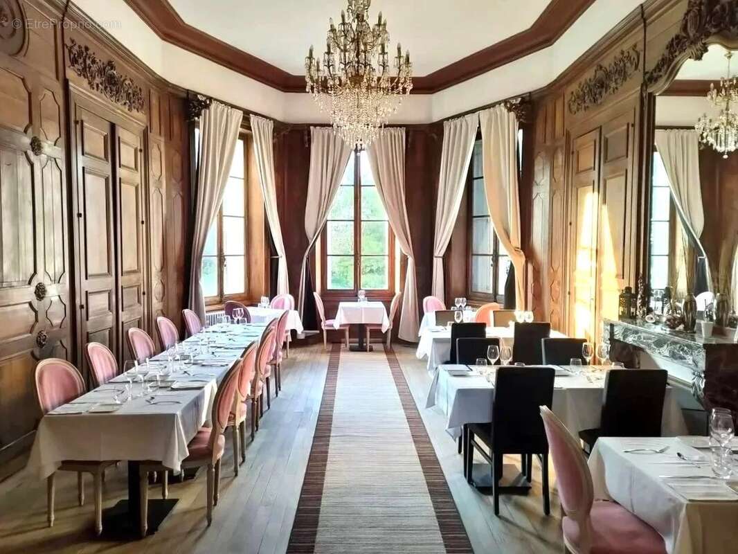 Élégant Château du XIXe siècle avec parc, piscine et maisons d’amis - photo 3