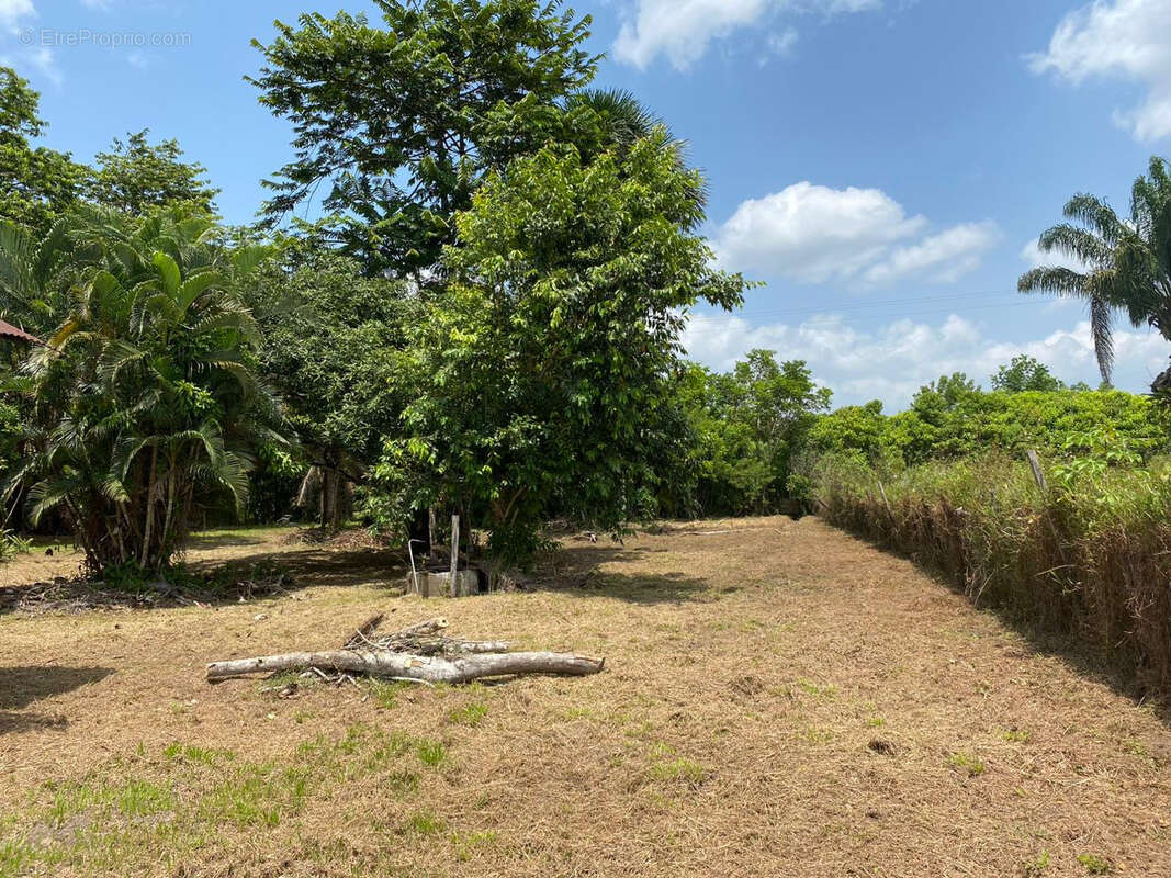Terrain à MACOURIA