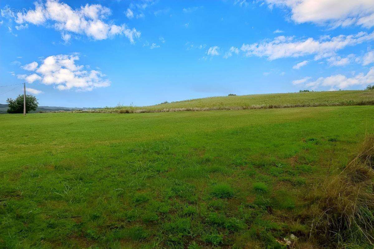 Terrain à LA SAUZIERE-SAINT-JEAN