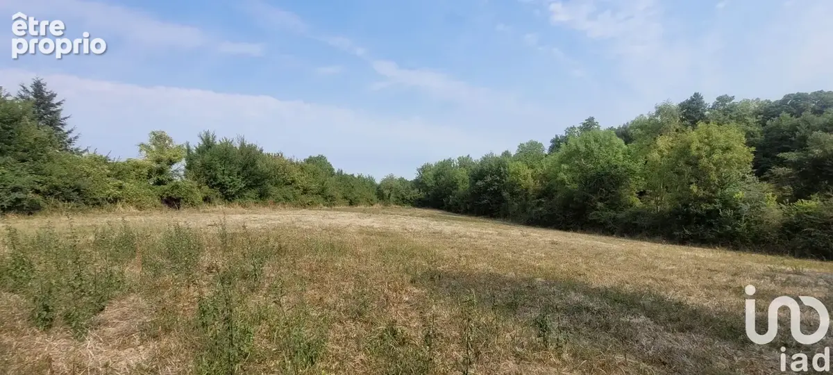 Photo 1 - Terrain à SAINT-LOUP-LAMAIRE