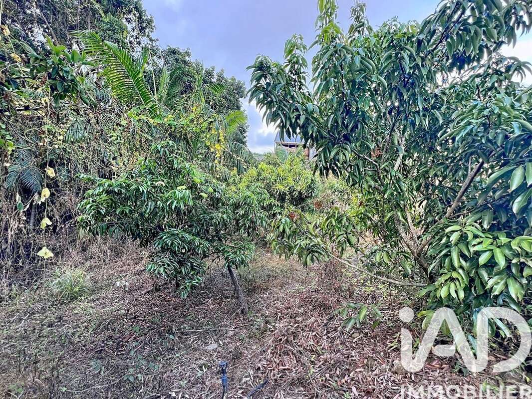 Photo 3 - Terrain à LE TAMPON