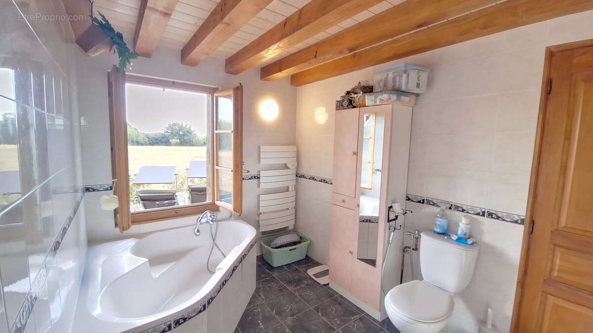 Authentique ferme bressane à colombages rénovée avec 2 logements et 1 hectare de terrain - photo 13