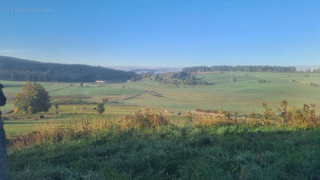 Maison à SAINT-GENEST-MALIFAUX