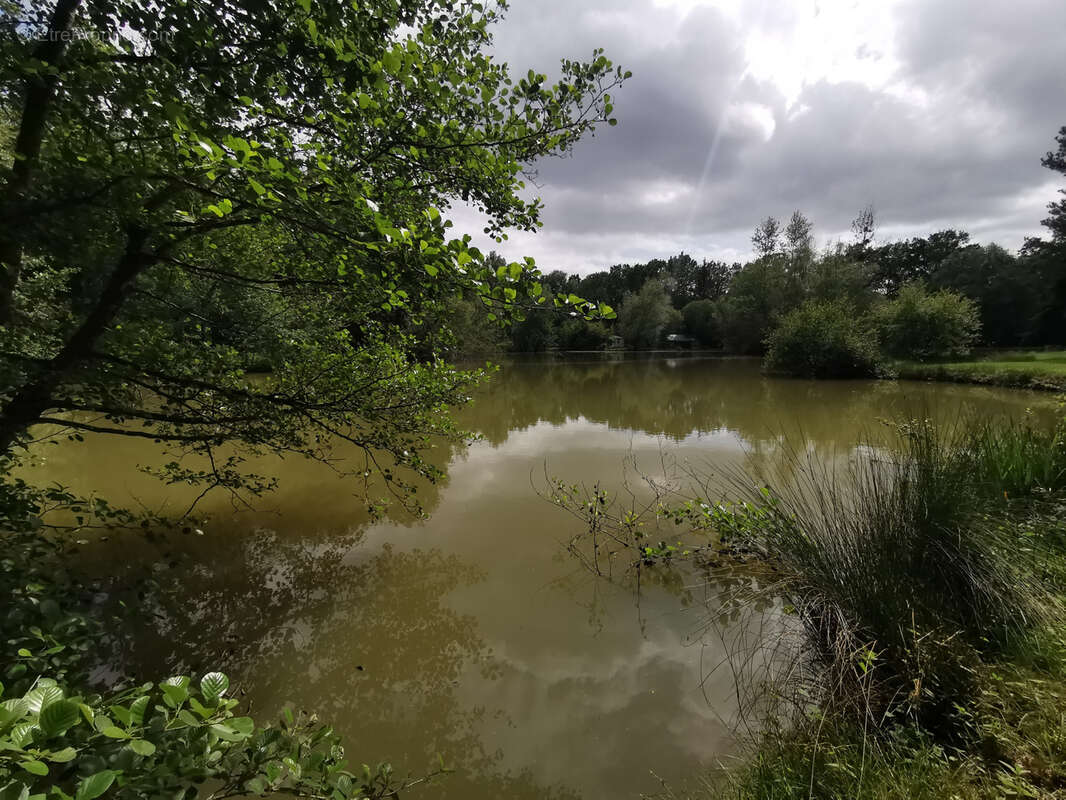 Belle propriété de 6.5ha avec deux étangs - photo 7